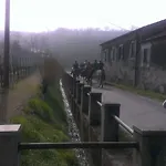 Il Feudo Farmház Vo Euganeo