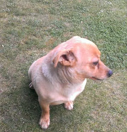 Il Feudo Фермерский дом