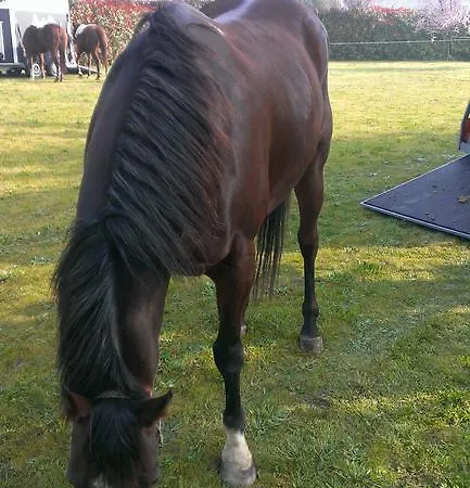 Il Feudo * Vo Euganeo