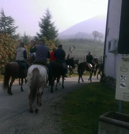 Vakantieboerderij Il Feudo *